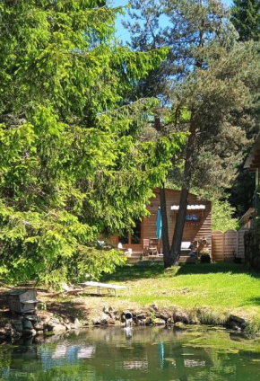Chalet grenouille Domaine de la Mamounette